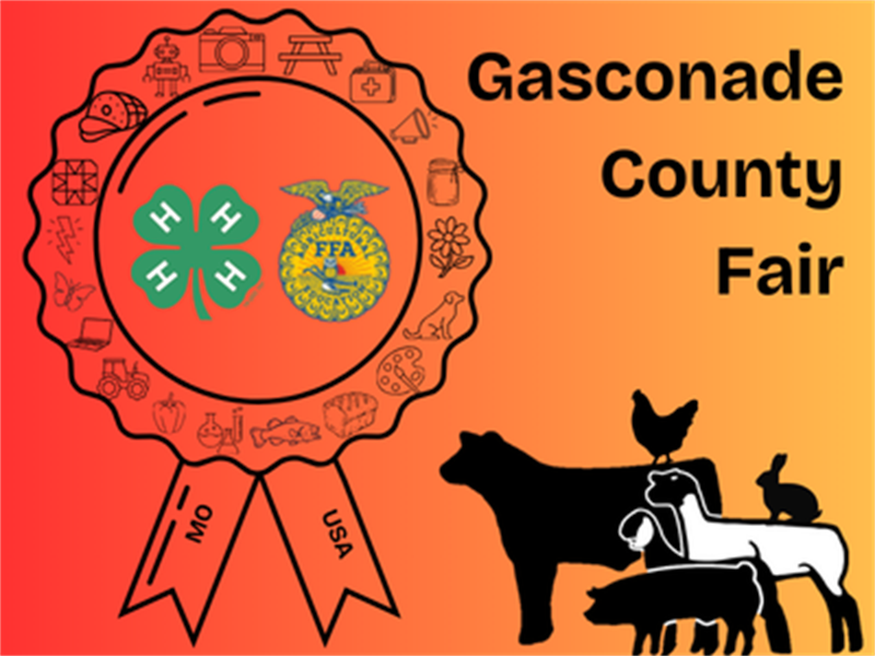 Fair Logo